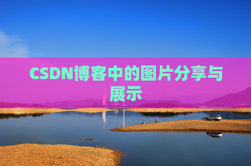 CSDN博客中的图片分享与展示